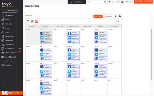 social media success, thryv social media scheduler